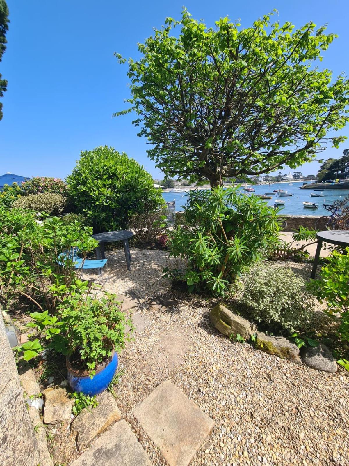 Le Ste Marine - Ptit Coin De Paradis Vue Sur Le Port - Wifi - Entree Autonome Combrit Exteriör bild